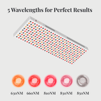 Red Light Therapy Panel Pro- 300 LED's