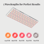 Modouge Pro Plus — Red Light Therapy Panel - Modouge